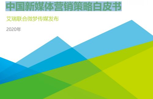 2020中国新媒体营销策略白皮书 附下载