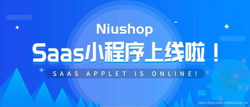 niushop saas版商城系统 一款一键建站 多样化营销的傻瓜式运营商城系统